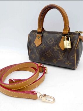 Louis Vuitton Hand Bag Mini speedy Brown Monogram